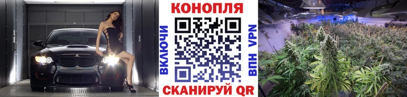 Купить  Куровское  Бошки марихуана конопля 